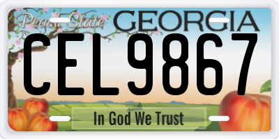 GA license plate CEL9867