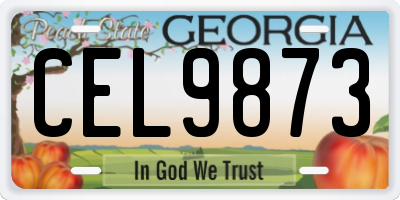 GA license plate CEL9873
