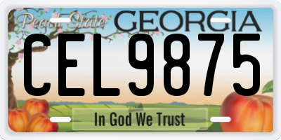 GA license plate CEL9875