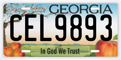 GA license plate CEL9893