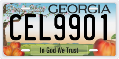 GA license plate CEL9901