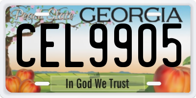 GA license plate CEL9905