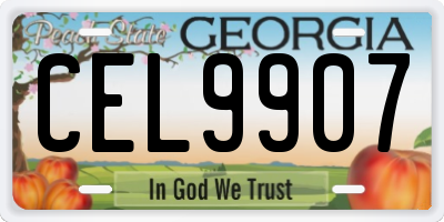 GA license plate CEL9907