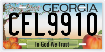 GA license plate CEL9910