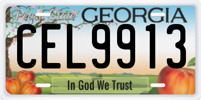 GA license plate CEL9913