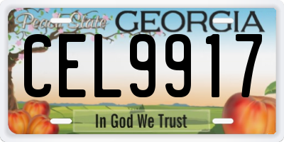 GA license plate CEL9917