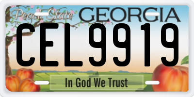 GA license plate CEL9919