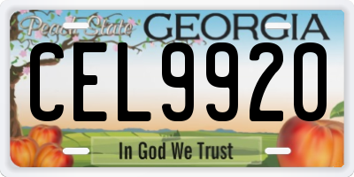 GA license plate CEL9920