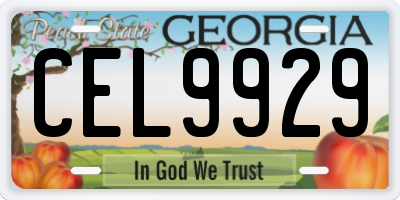 GA license plate CEL9929