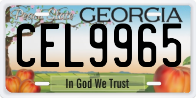 GA license plate CEL9965