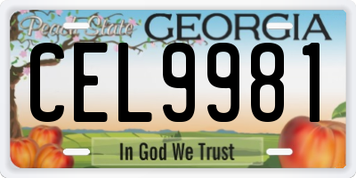 GA license plate CEL9981