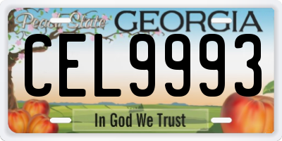 GA license plate CEL9993