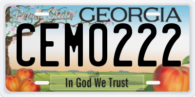 GA license plate CEM0222