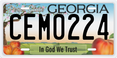 GA license plate CEM0224