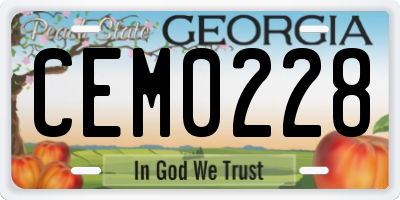 GA license plate CEM0228