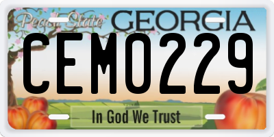 GA license plate CEM0229