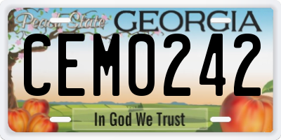GA license plate CEM0242