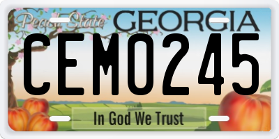 GA license plate CEM0245