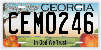 GA license plate CEM0246