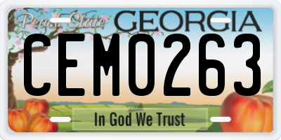 GA license plate CEM0263