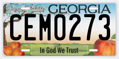 GA license plate CEM0273