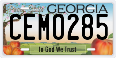 GA license plate CEM0285