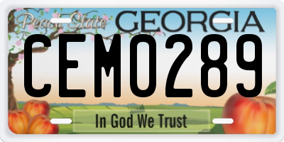 GA license plate CEM0289
