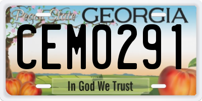 GA license plate CEM0291
