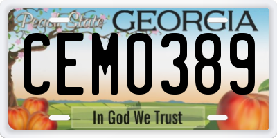 GA license plate CEM0389