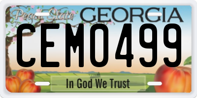 GA license plate CEM0499