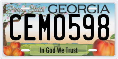GA license plate CEM0598
