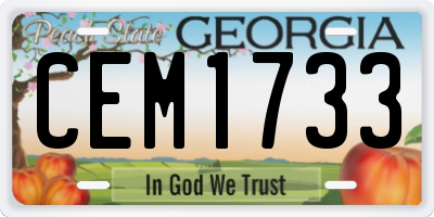 GA license plate CEM1733