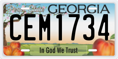 GA license plate CEM1734