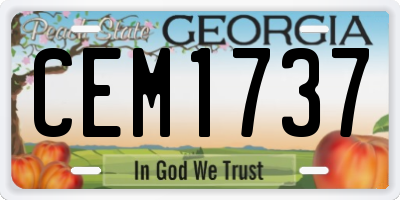 GA license plate CEM1737