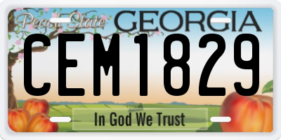 GA license plate CEM1829