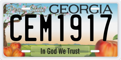 GA license plate CEM1917