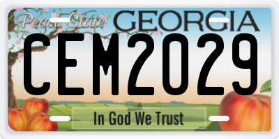 GA license plate CEM2029