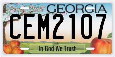 GA license plate CEM2107