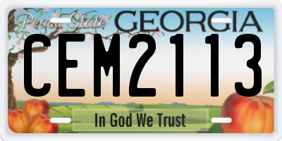 GA license plate CEM2113