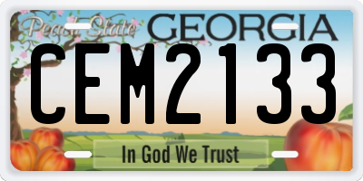 GA license plate CEM2133