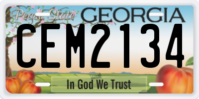 GA license plate CEM2134