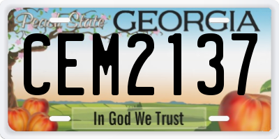 GA license plate CEM2137