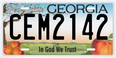 GA license plate CEM2142