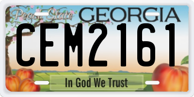 GA license plate CEM2161