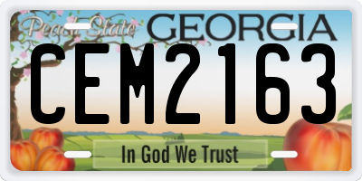 GA license plate CEM2163
