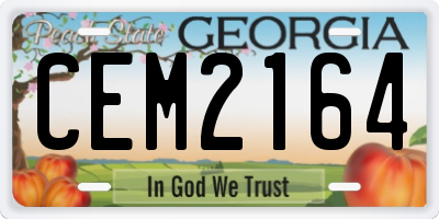 GA license plate CEM2164