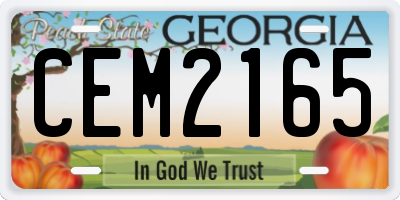 GA license plate CEM2165