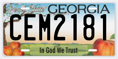 GA license plate CEM2181
