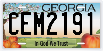 GA license plate CEM2191