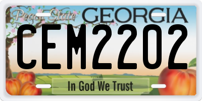GA license plate CEM2202